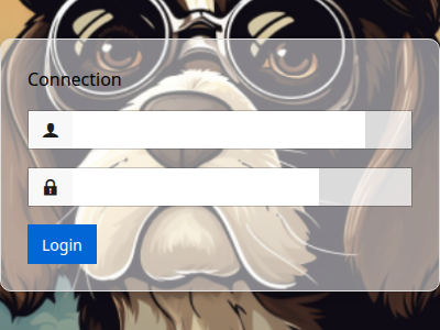 Vignette de https://securite.onphi.tech